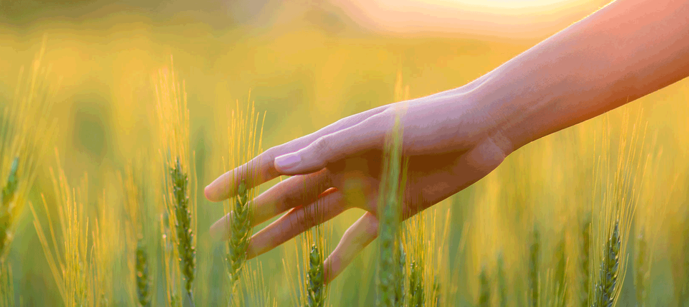 Foliar fertilizer