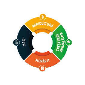 The group model