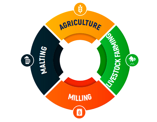 The group model